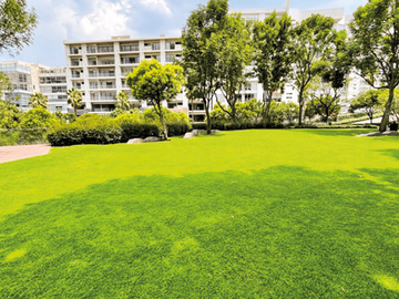 DEPARTAMENTO EN RENTA LOMAS DEL PEDREGAL CDMX