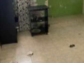 Quintana Roo,Playa del Carmen,Municipio de Solidaridad,,Casa,Venta