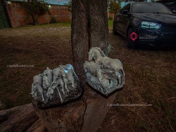 Villa de Descanso con Salón de Eventos Cerca Rancho 3 Potrillos