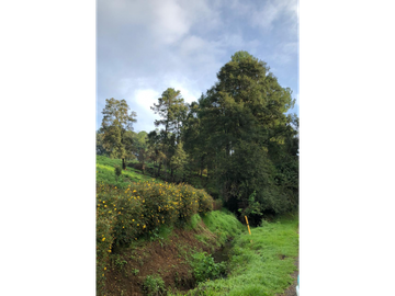 Terreno en Los Saúcos Valle de Bravo