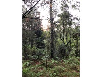 Terreno en Los Saúcos Valle de Bravo