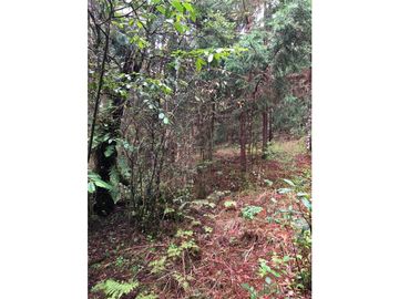Terreno en Los Saúcos Valle de Bravo