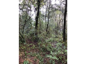 Terreno en Los Saúcos Valle de Bravo