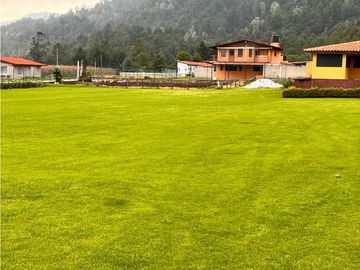 CASA EN VENTA O RENTA EN LOS SAUCOS