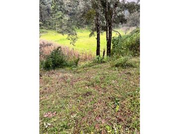 CASA EN VENTA O RENTA EN LOS SAUCOS