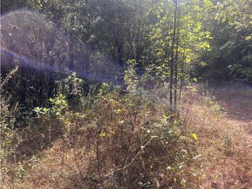 TERRENO EN VENTA EN VALLE DE BRAVO (ZONA LOS ALAMOS)