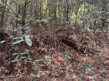 TERRENO EN VENTA EN VALLE DE BRAVO (ZONA LOS ALAMOS)