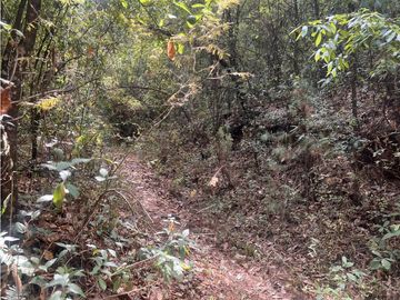 TERRENO EN VENTA EN VALLE DE BRAVO (ZONA LOS ALAMOS)