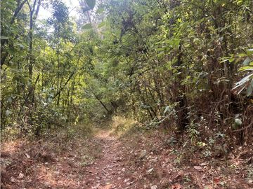 TERRENO EN VENTA EN VALLE DE BRAVO (ZONA LOS ALAMOS)