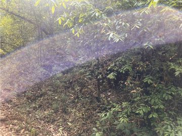 TERRENO EN VENTA EN VALLE DE BRAVO (ZONA LOS ALAMOS)