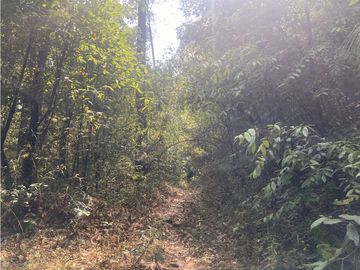TERRENO EN VENTA EN VALLE DE BRAVO (ZONA LOS ALAMOS)