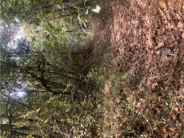 TERRENO EN VENTA EN VALLE DE BRAVO (ZONA LOS ALAMOS)