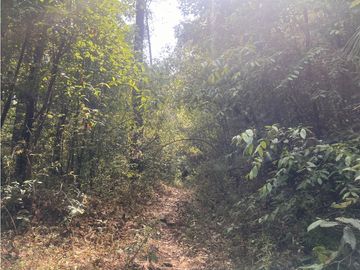 TERRENO EN VENTA EN VALLE DE BRAVO (ZONA LOS ALAMOS)