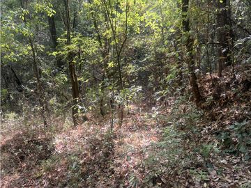 TERRENO EN VENTA EN VALLE DE BRAVO (ZONA LOS ALAMOS)