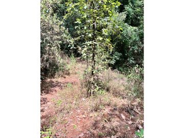TERRENO EN VENTA EN VALLE DE BRAVO (ZONA LOS ALAMOS)