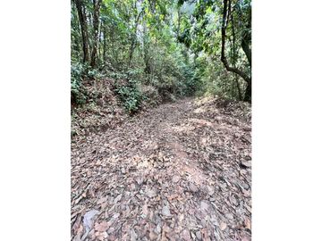 TERRENO EN VENTA EN VALLE DE BRAVO (ZONA LOS ALAMOS)