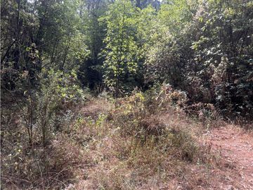 TERRENO EN VENTA EN VALLE DE BRAVO (ZONA LOS ALAMOS)