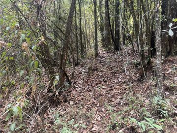 TERRENO EN VENTA EN VALLE DE BRAVO (ZONA LOS ALAMOS)