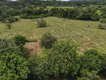 En venta casa campestre en Carmen de Apicalá con lote de 1.4 fanegadas.