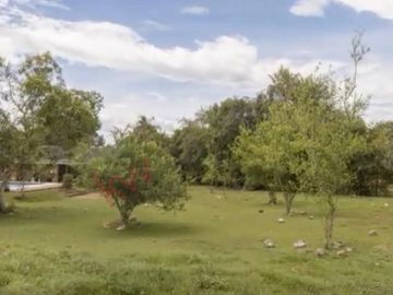 En venta casa campestre en Carmen de Apicalá con lote de 1.4 fanegadas.