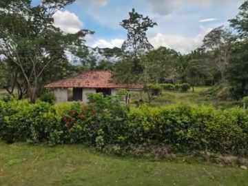 En venta casa campestre en Carmen de Apicalá con lote de 1.4 fanegadas.