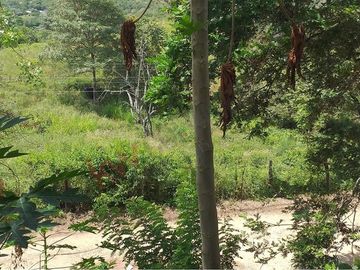 En Venta Cabaña de dos habitaciones y Lote en Agua de Dios Cundinamarca-7645