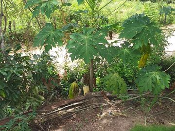 En Venta Cabaña de dos habitaciones y Lote en Agua de Dios Cundinamarca-7645