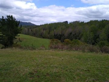 Agrícola en Venta en Sector Dollinco Los Tayos Altos