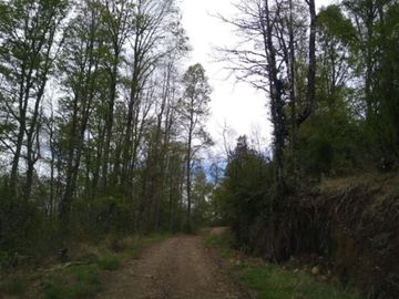 Agrícola en Venta en Sector Dollinco Los Tayos Altos