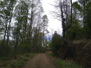 Agrícola en Venta en Sector Dollinco Los Tayos Altos