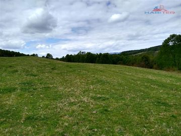 Agrícola en Venta en Sector Dollinco Los Tayos Altos
