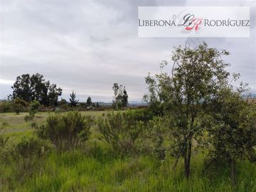 Casa en Venta en Parcela con casa en Valle Alegre