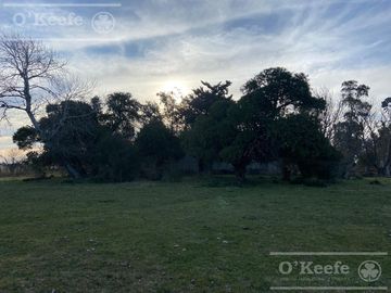 Chacra en venta 17 has en Magdalena !!!