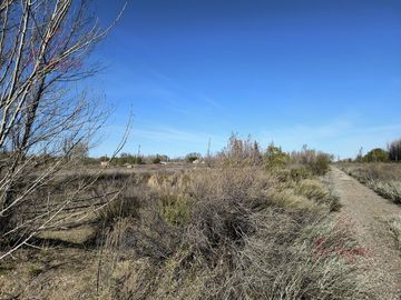 Oportunidad Inversion, Venta Chacra ubicada en Colonia San Francisco 1,8 Ha