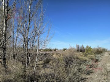Oportunidad Inversion, Venta Chacra ubicada en Colonia San Francisco 1,8 Ha