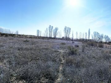 Oportunidad Inversion, Venta Chacra ubicada en Colonia San Francisco 1,8 Ha