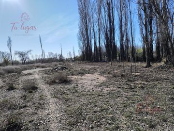Oportunidad Inversion, Venta Chacra ubicada en Colonia San Francisco 1,8 Ha