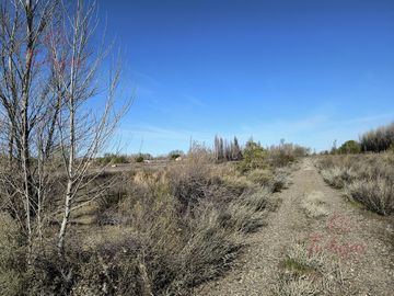 Oportunidad Inversion, Venta Chacra ubicada en Colonia San Francisco 1,8 Ha