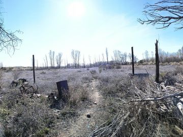 Oportunidad Inversion, Venta Chacra ubicada en Colonia San Francisco 1,8 Ha