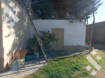 Venta Chacra 4 Has -  a metros de Ruta N° 151 - Cipolletti - Río Negro