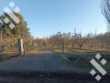 Venta Chacra 4 Has -  a metros de Ruta N° 151 - Cipolletti - Río Negro