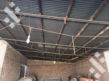 Venta Chacra 4 Has -  a metros de Ruta N° 151 - Cipolletti - Río Negro