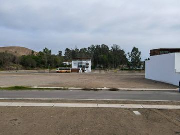 Tranquilidad y naturaleza te esperan. Lote en venta en El Polo Sur.