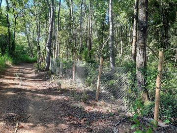 Parcela en Venta en Cobquecura