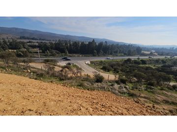 QUILPUÉ / RUTA F-50 / LOS MOLLES / PARCELA 5.000 M2