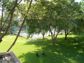 Venta dos casas en terreno 18660 m2,  Zona Carretera Nacional , El Barro , N.L.