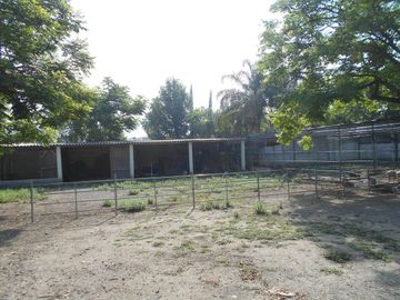 Venta dos casas en terreno 18660 m2,  Zona Carretera Nacional , El Barro , N.L.