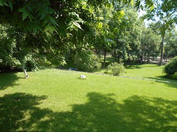 Venta dos casas en terreno 18660 m2,  Zona Carretera Nacional , El Barro , N.L.