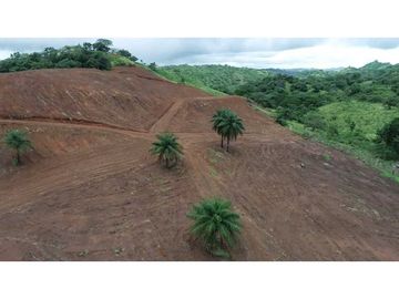 Vendo finca de 5 hectareas en  Pedasi, Carretera Playa Venao