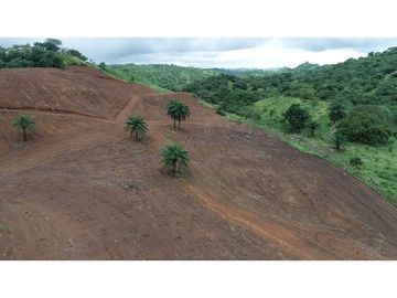 Vendo finca de 5 hectareas en  Pedasi, Carretera Playa Venao